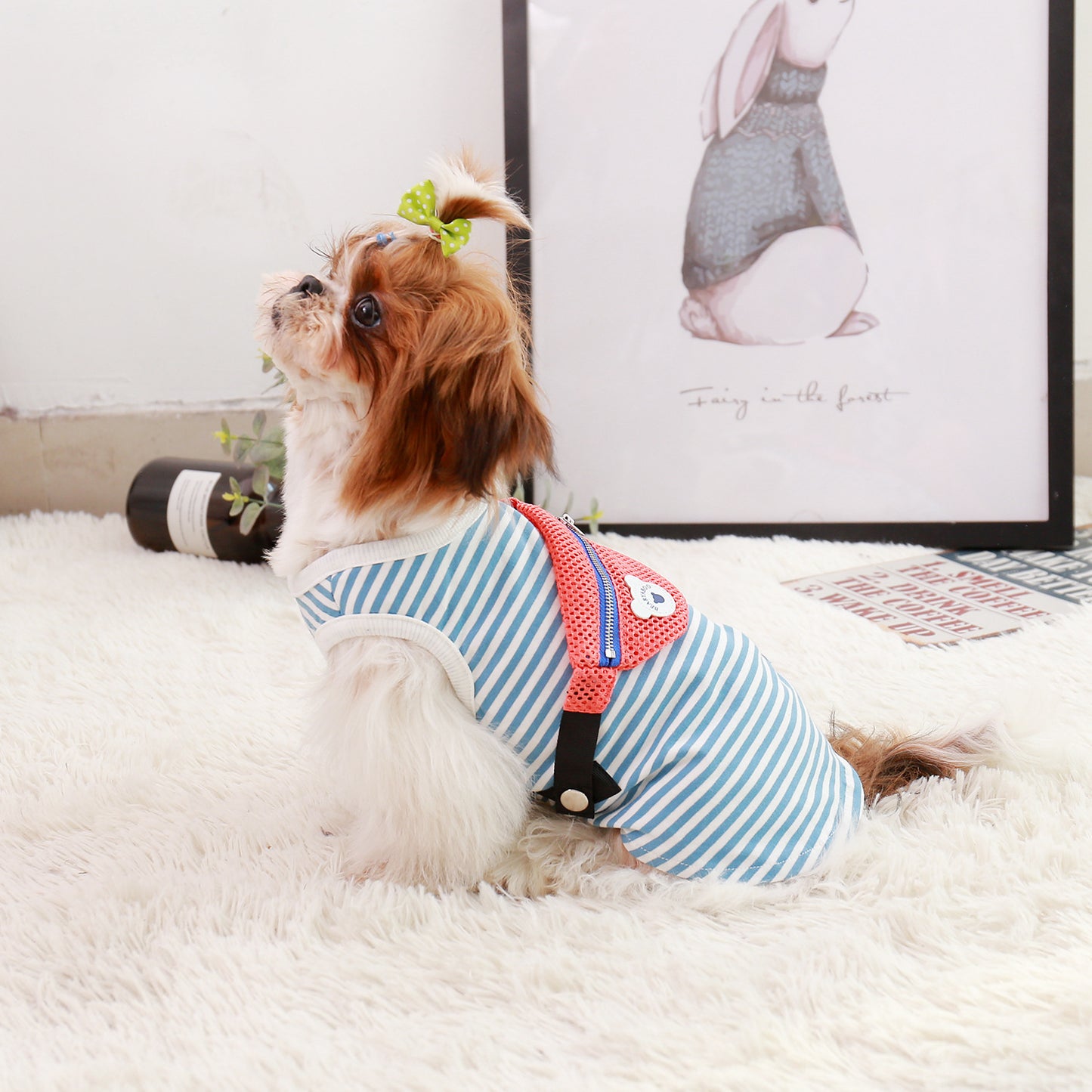 Small dog wearing summer vest with mini bag