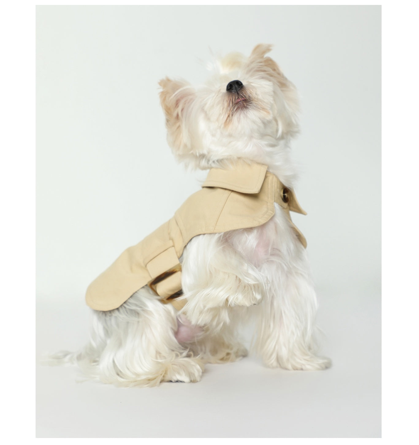 Elegant Dog Trench Coat - Stylish & Lightweight Summer Pet Outfit
