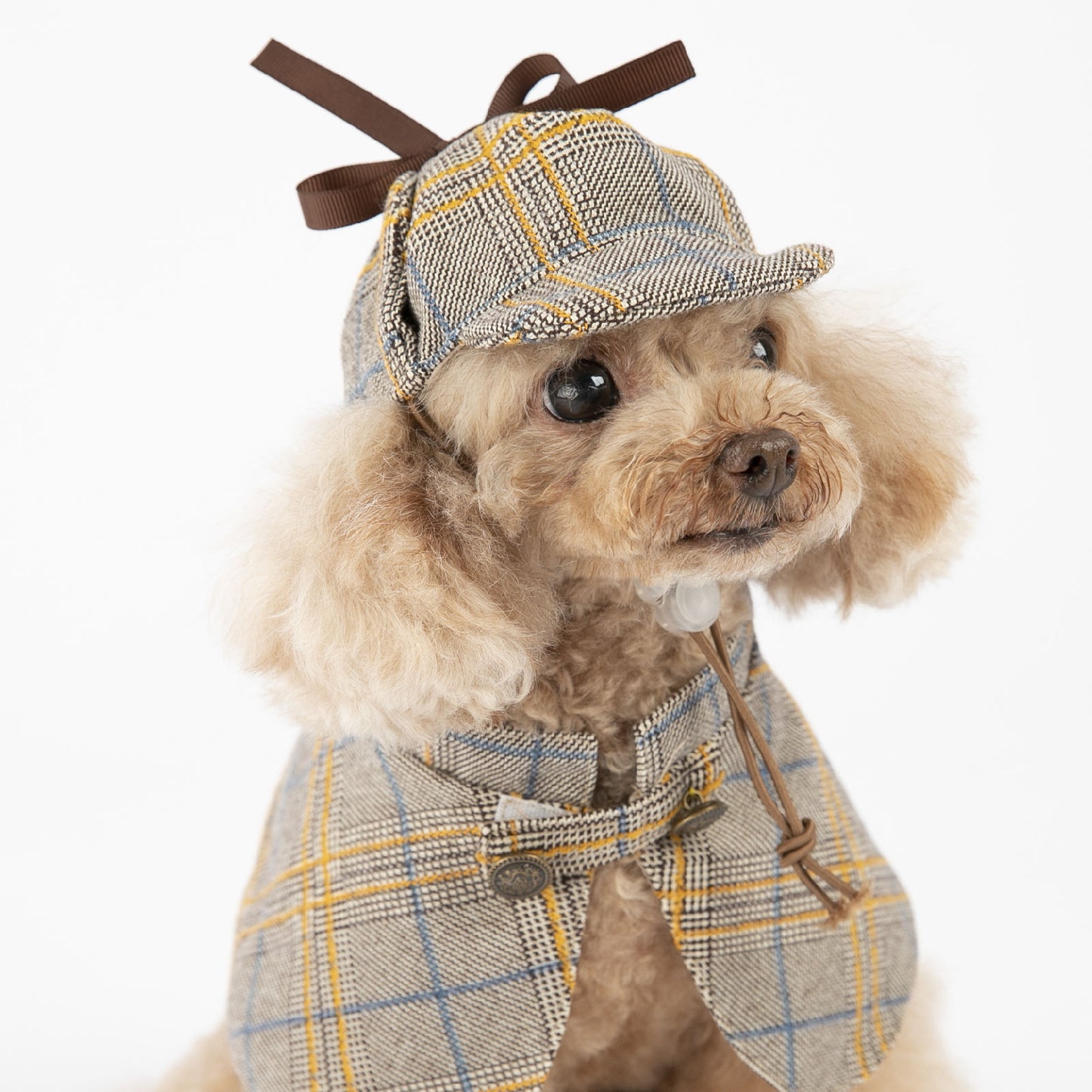 dog wearing vintage detective cloak