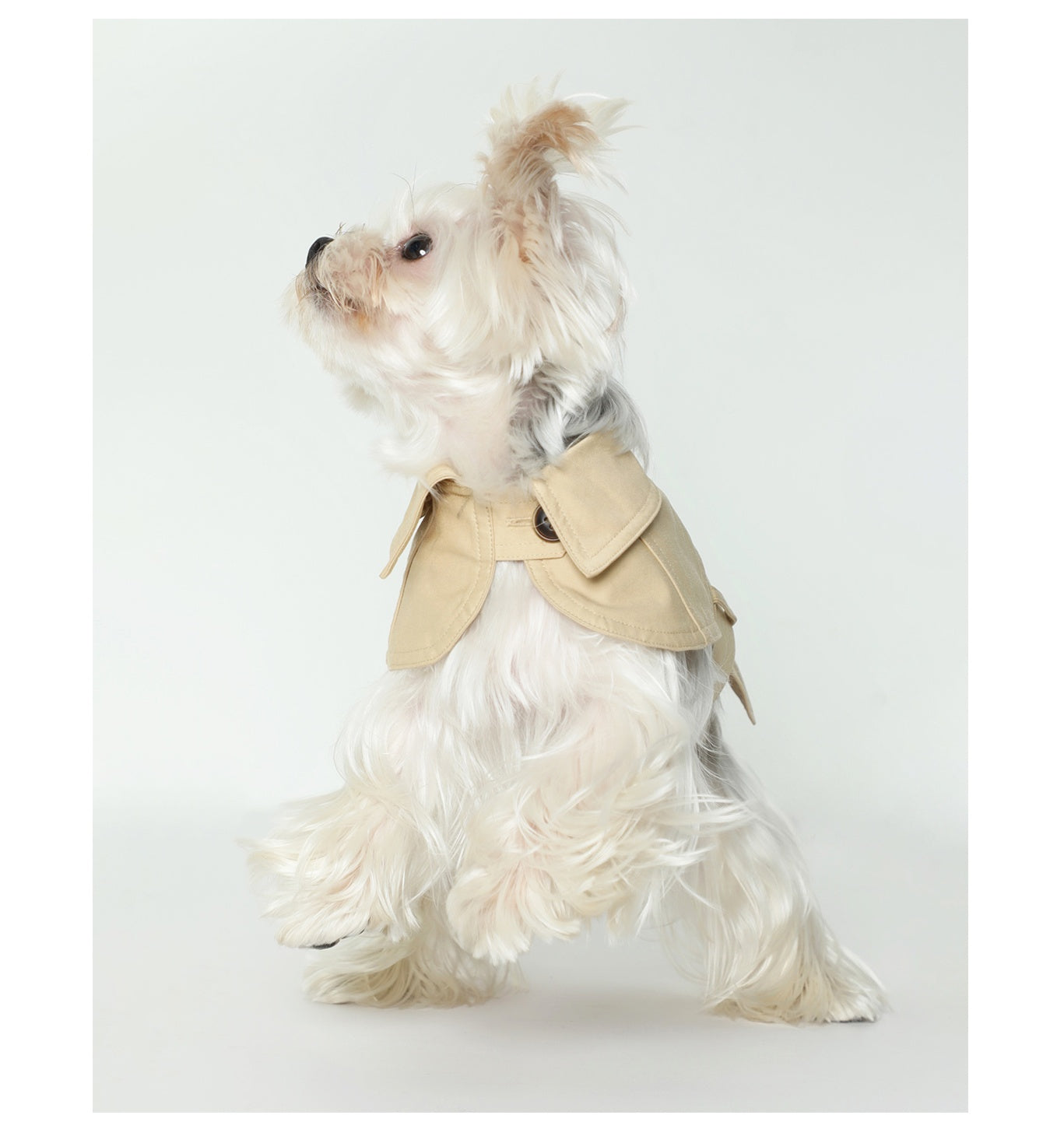 Elegant Dog Trench Coat - Stylish & Lightweight Summer Pet Outfit