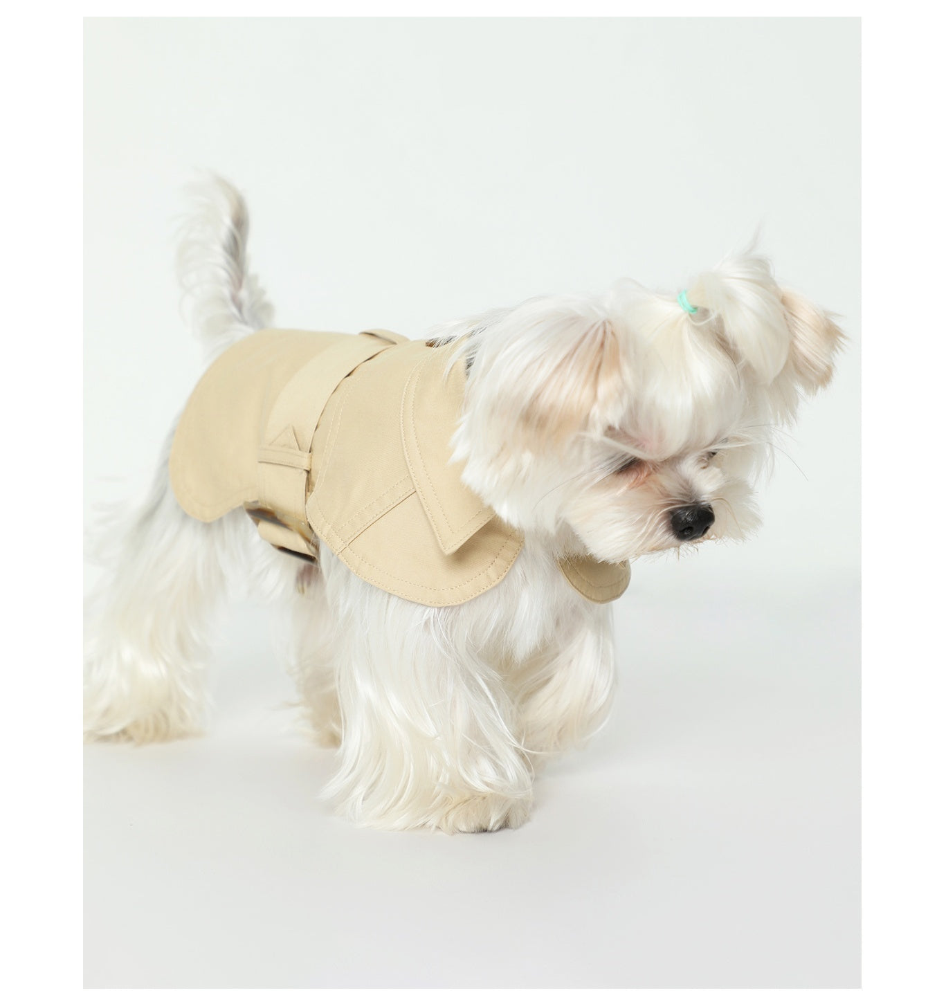 Elegant Dog Trench Coat - Stylish & Lightweight Summer Pet Outfit