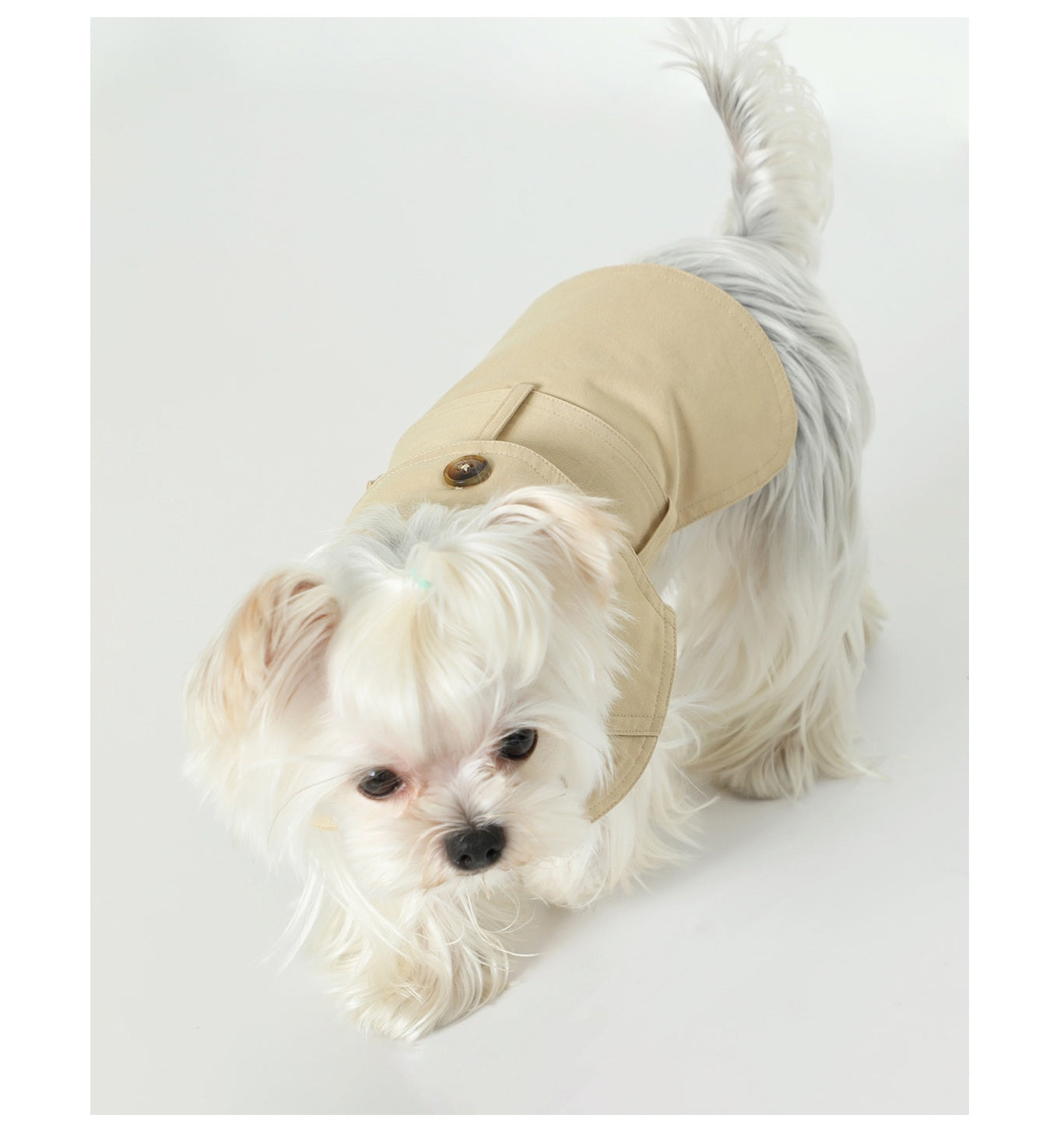 Elegant Dog Trench Coat - Stylish & Lightweight Summer Pet Outfit