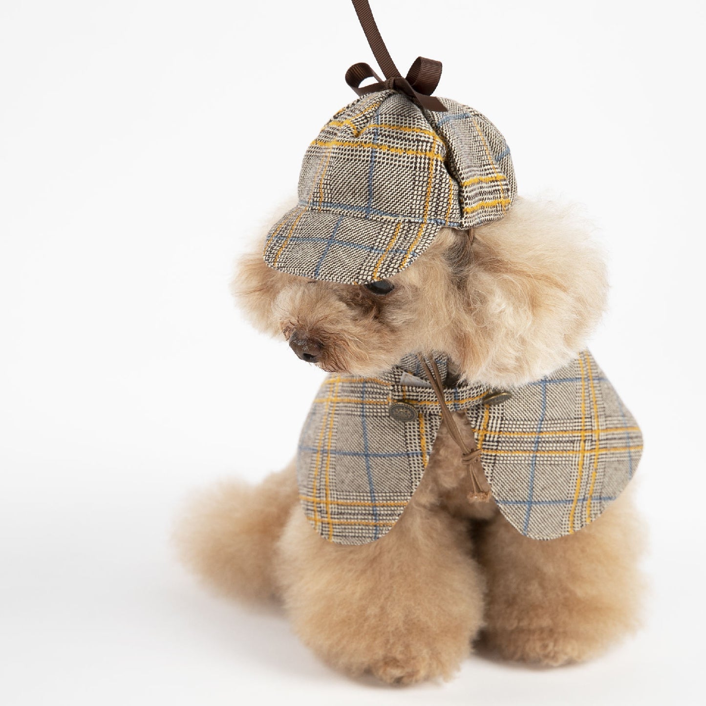 camel color dog cape set with hat