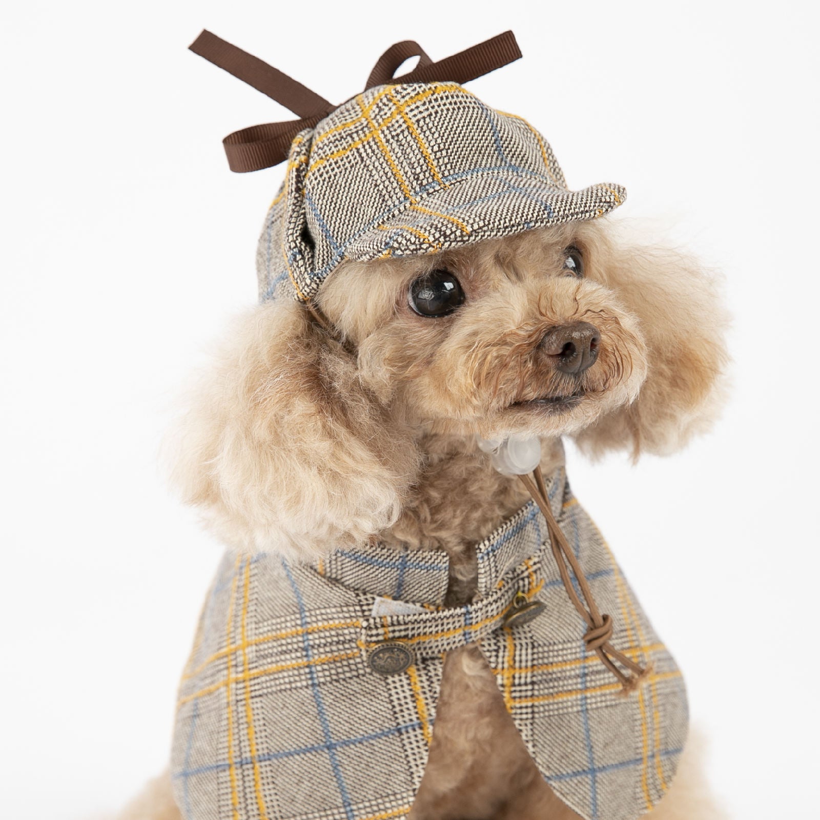 dog wearing vintage detective cloak