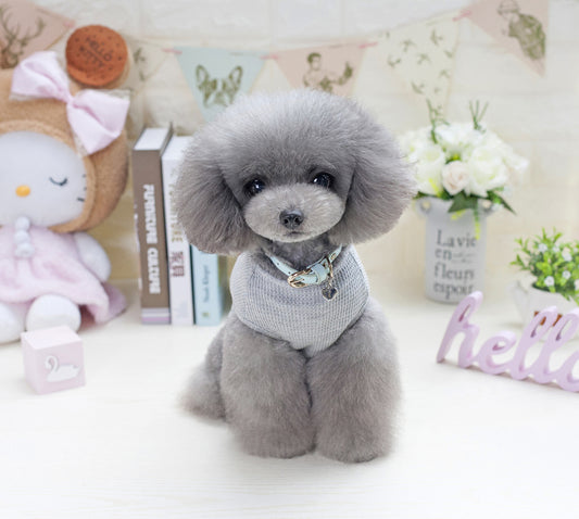 Dog wearing summer vest – front view