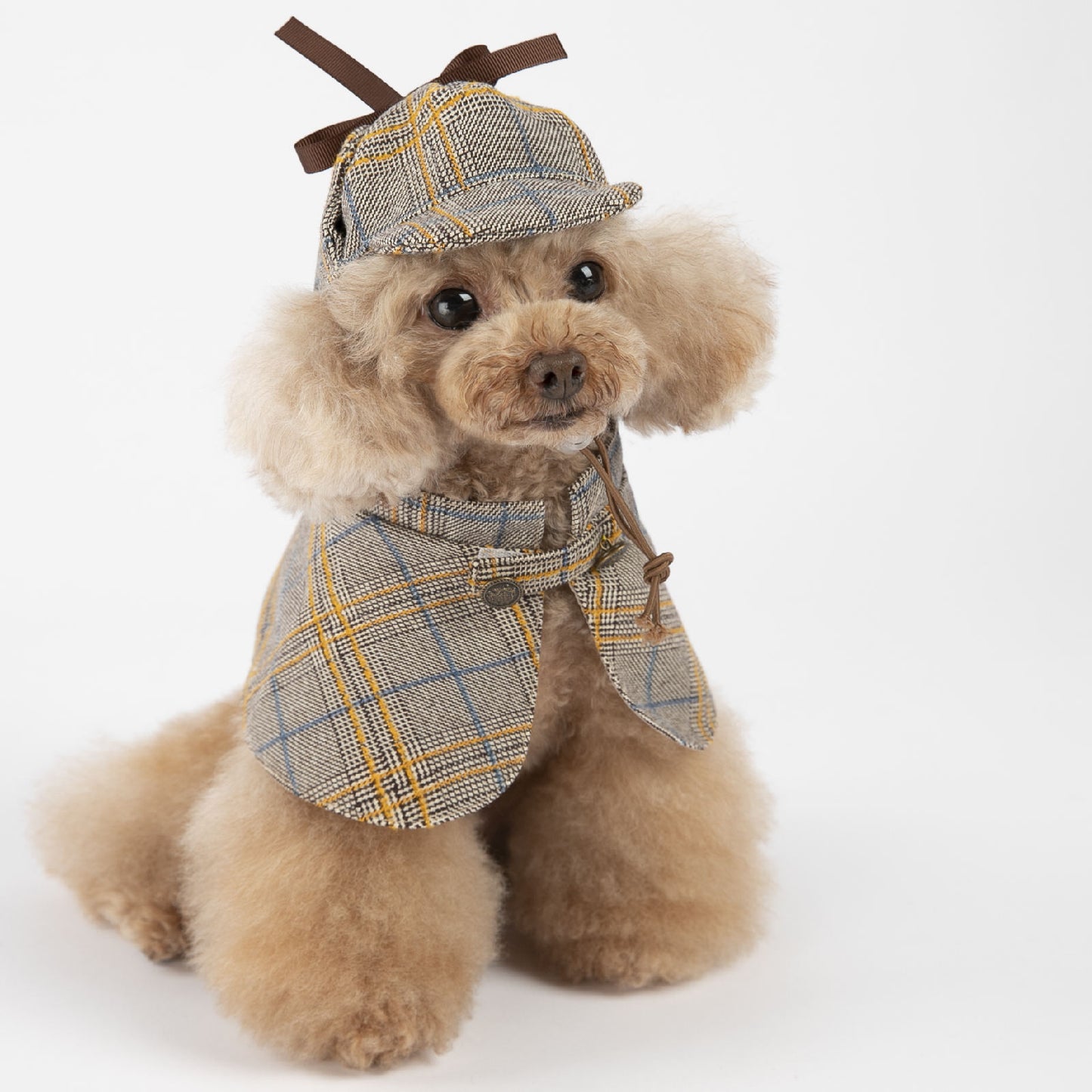 adorable outfit for small dogs