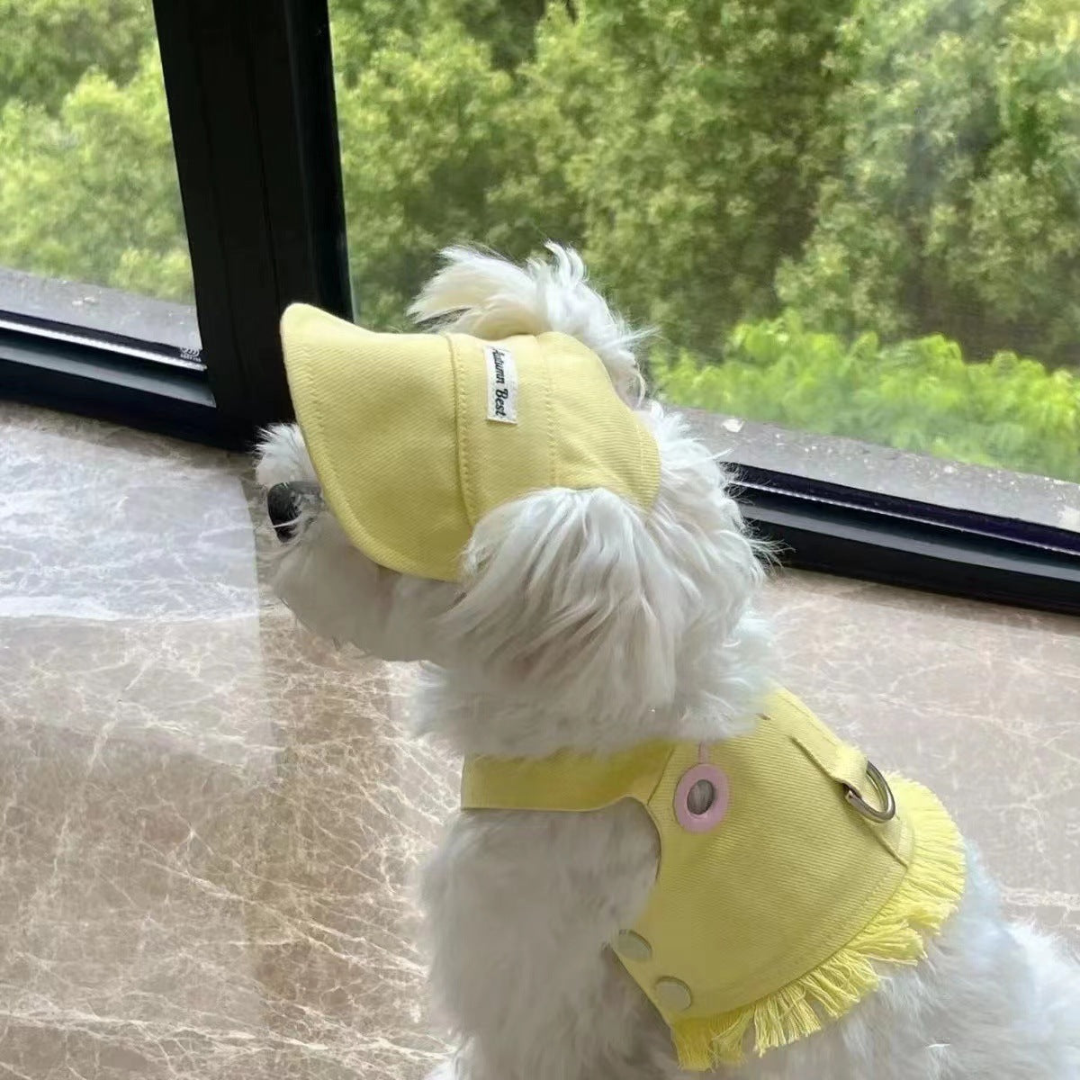 Summer pet clothing set – vest and cap combo