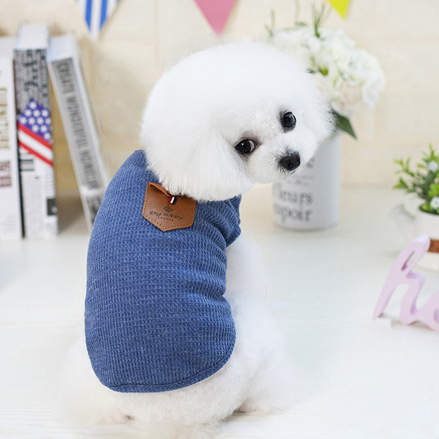 Cotton fabric close-up of dog tank top