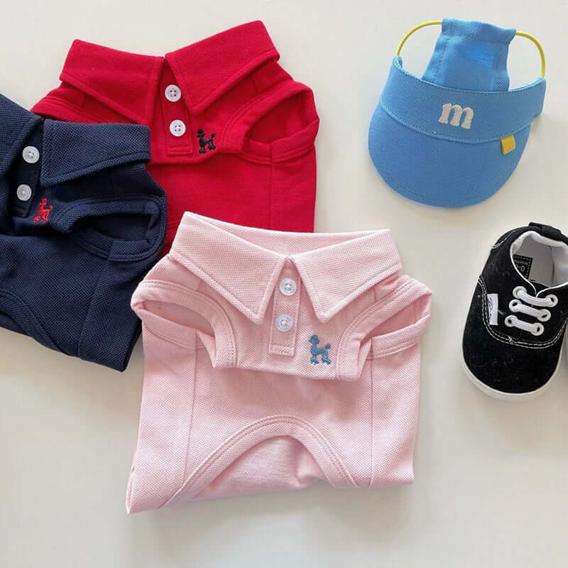 Set of summer dog clothes with cap and shoes