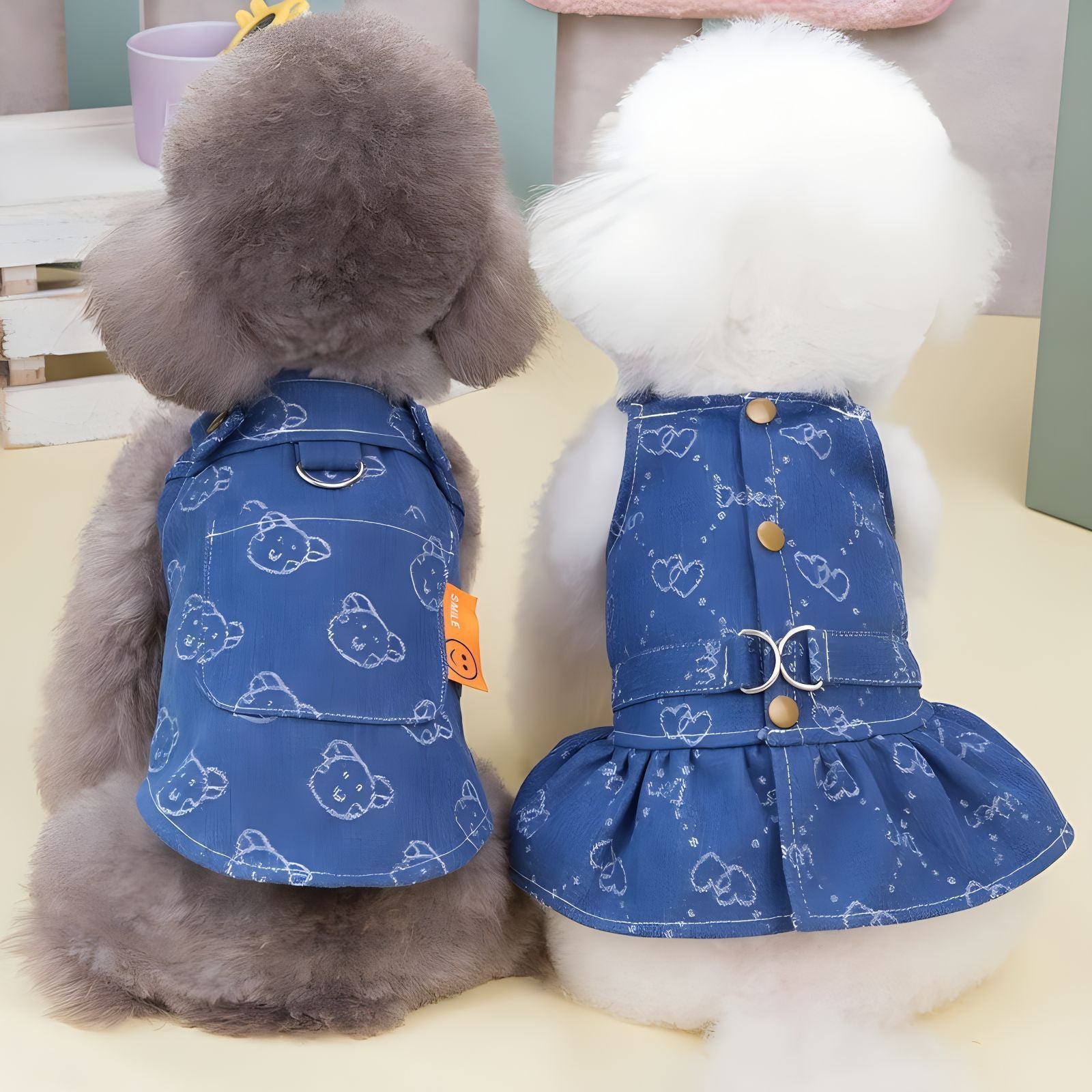 small dogs wearing blue denim dress back view