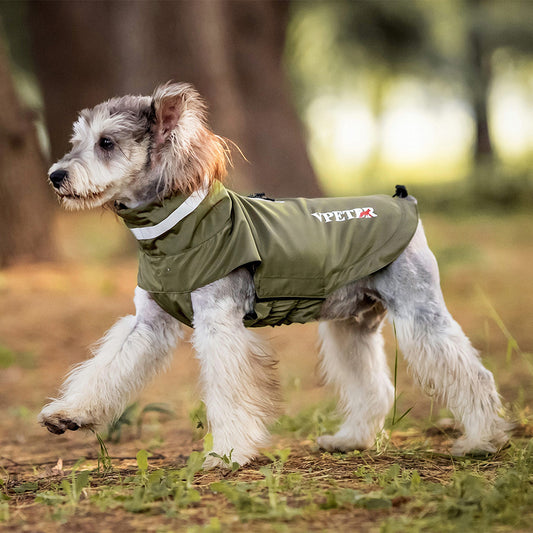 Dog wearing olive green raincoat with reflective stripe