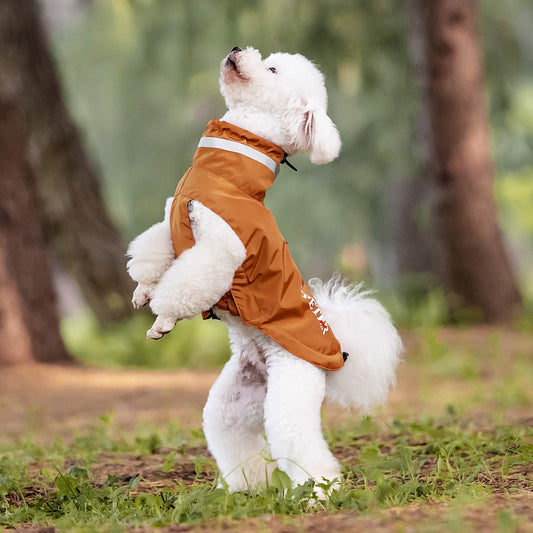 Lightweight waterproof pet jacket for walking