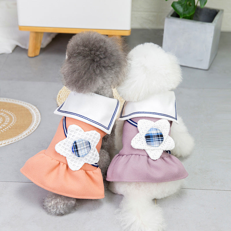 Fashionable summer dog outfit – Back view