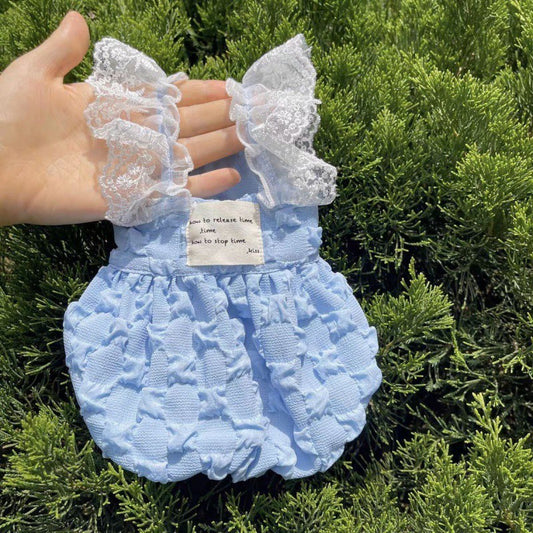 Contrast lace pet dress on green background