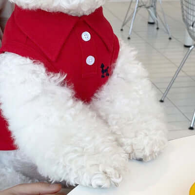 Pet wearing red polo vest