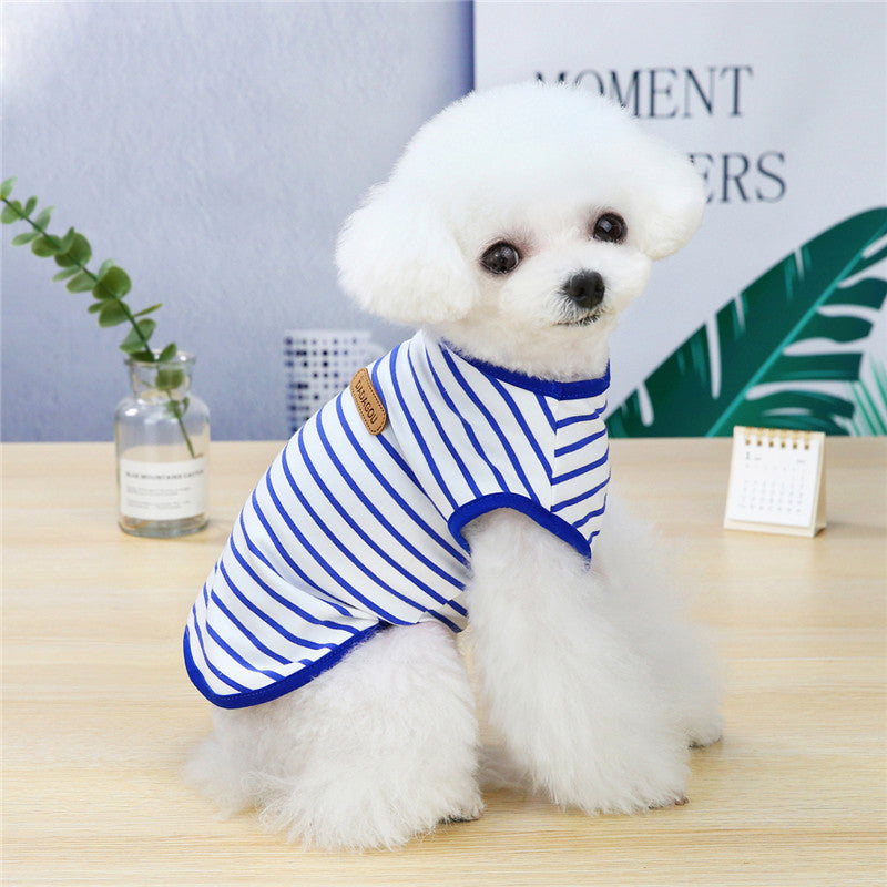 Blue cotton dog shirt on puppy